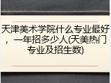 天津美术学院什么专业最好，一年招多少人(天美热门专业及招生数)