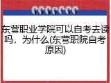 东营职业学院可以自考去读吗，为什么(东营职院自考原因)