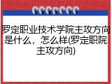 罗定职业技术学院主攻方向是什么，怎么样(罗定职院主攻方向)