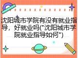 沈阳城市学院有没有就业指导，好就业吗("沈阳城市学院就业指导如何")