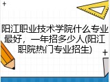 阳江职业技术学院什么专业最好，一年招多少人(阳江职院热门专业招生)