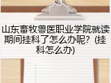 山东畜牧兽医职业学院就读期间挂科了怎么办呢？(挂科怎么办)