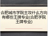 合肥城市学院主攻什么方向有哪些王牌专业(合肥学院王牌专业)