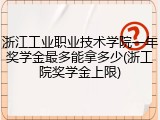 浙江工业职业技术学院一年奖学金最多能拿多少(浙工院奖学金上限)