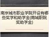 南京城市职业学院开设有哪些奖学和助学金(南城职院奖助学金)
