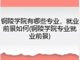 铜陵学院有哪些专业，就业前景如何(铜陵学院专业就业前景)