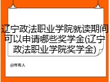 辽宁政法职业学院就读期间可以申请哪些奖学金(辽宁政法职业学院奖学金)