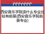 西安音乐学院读什么专业比较有前景(西安音乐学院前景专业)