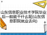 山东信息职业技术学院毕业后一般能干什么呢(山东信息职院就业去向)