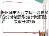 贵州城市职业学院一般要多少分才能录取(贵州城职院录取分数线)
