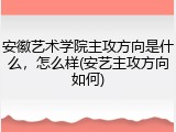 安徽艺术学院主攻方向是什么，怎么样(安艺主攻方向如何)