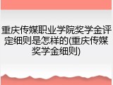 重庆传媒职业学院奖学金评定细则是怎样的(重庆传媒奖学金细则)