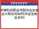 共青科技职业学院毕业生就业大致去向如何(毕业生就业去向)