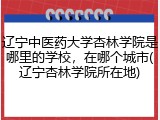 辽宁中医药大学杏林学院是哪里的学校，在哪个城市(辽宁杏林学院所在地)