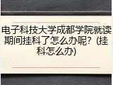 电子科技大学成都学院就读期间挂科了怎么办呢？(挂科怎么办)