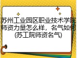 苏州工业园区职业技术学院师资力量怎么样，名气如何(苏工院师资名气)