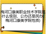 梅河口康美职业技术学院是什么级别，公办还是民办(梅河口康美学院性质)