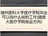 锦州医科大学医疗学院毕业可以找什么样的工作(锦医大医疗学院就业方向)