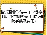 临沂职业学院一年学费多少钱，还有哪些费用(临沂职院学费及费用)