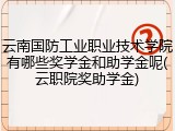云南国防工业职业技术学院有哪些奖学金和助学金呢(云职院奖助学金)
