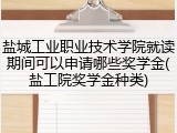盐城工业职业技术学院就读期间可以申请哪些奖学金(盐工院奖学金种类)