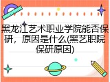 黑龙江艺术职业学院能否保研，原因是什么(黑艺职院保研原因)