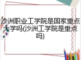 沙洲职业工学院是国家重点大学吗(沙洲工学院是重点吗)