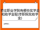 枣庄职业学院有哪些奖学金和助学金呢(枣职院奖助学金)
