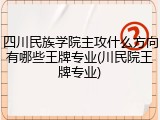 四川民族学院主攻什么方向有哪些王牌专业(川民院王牌专业)
