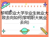 黎明职业大学毕业生就业大致去向如何(黎明职大就业去向)