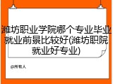 潍坊职业学院哪个专业毕业就业前景比较好(潍坊职院就业好专业)