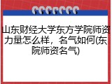 山东财经大学东方学院师资力量怎么样，名气如何(东院师资名气)