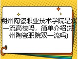 朔州陶瓷职业技术学院是双一流高校吗，简单介绍(朔州陶瓷职院双一流吗)