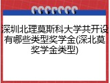 深圳北理莫斯科大学共开设有哪些类型奖学金(深北莫奖学金类型)