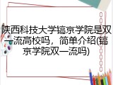 陕西科技大学镐京学院是双一流高校吗，简单介绍(镐京学院双一流吗)