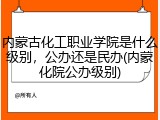 内蒙古化工职业学院是什么级别，公办还是民办(内蒙化院公办级别)