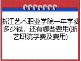 浙江艺术职业学院一年学费多少钱，还有哪些费用(浙艺职院学费及费用)