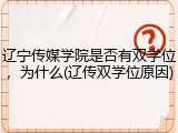 辽宁传媒学院是否有双学位，为什么(辽传双学位原因)