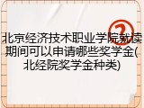 北京经济技术职业学院就读期间可以申请哪些奖学金(北经院奖学金种类)