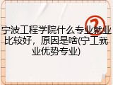 宁波工程学院什么专业就业比较好，原因是啥(宁工就业优势专业)