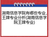 湖南信息学院有哪些专业，王牌专业分析(湖南信息学院王牌专业)