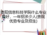 贵阳信息科技学院什么专业最好，一年招多少人(贵院优势专业及招生)
