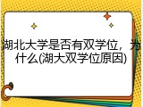 湖北大学是否有双学位，为什么(湖大双学位原因)