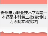 贵州电力职业技术学院是一本还是本科第二批(贵州电力职院本科批次)