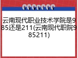 云南现代职业技术学院是985还是211(云南现代职院985211)