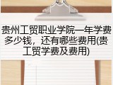 贵州工贸职业学院一年学费多少钱，还有哪些费用(贵工贸学费及费用)
