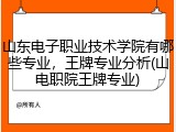 山东电子职业技术学院有哪些专业，王牌专业分析(山电职院王牌专业)