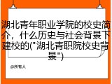 湖北青年职业学院的校史简介，什么历史与社会背景下建校的("湖北青职院校史背景")