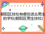 朝阳区技校有哪些适合男生的学校(朝阳区男生技校)