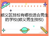 顺义区技校有哪些适合男生的学校(顺义男生技校)